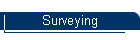 Surveying